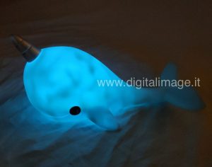 luce notturna balena