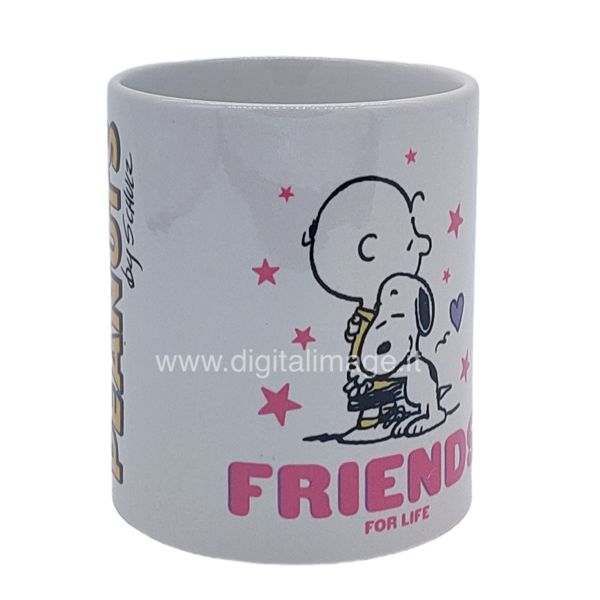 tazza dei Peanuts con Charlie Brown e Snoopy