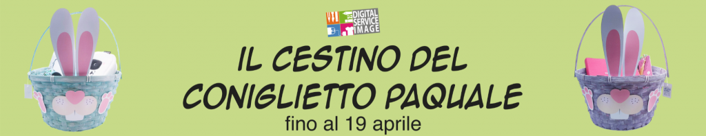il cestino del coniglietto pasquale